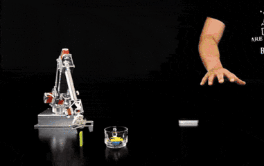 1.gif