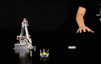 5.gif
