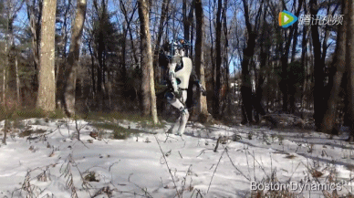 6.gif